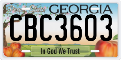 GA license plate CBC3603