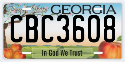GA license plate CBC3608