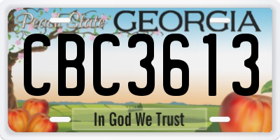 GA license plate CBC3613