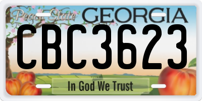 GA license plate CBC3623