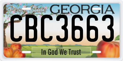 GA license plate CBC3663
