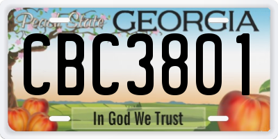 GA license plate CBC3801