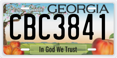 GA license plate CBC3841