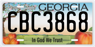 GA license plate CBC3868