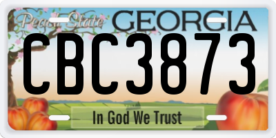 GA license plate CBC3873
