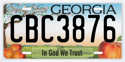 GA license plate CBC3876