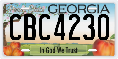 GA license plate CBC4230