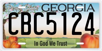 GA license plate CBC5124