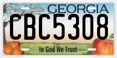 GA license plate CBC5308