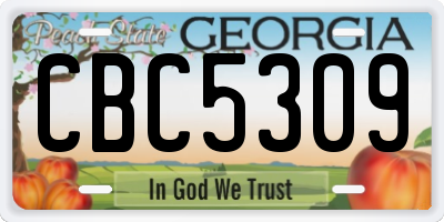 GA license plate CBC5309