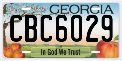 GA license plate CBC6029