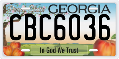 GA license plate CBC6036