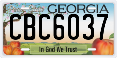 GA license plate CBC6037