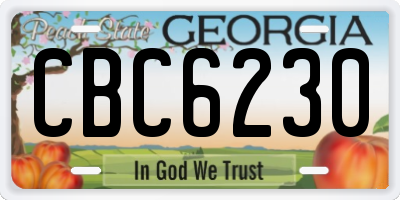 GA license plate CBC6230