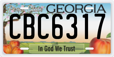 GA license plate CBC6317