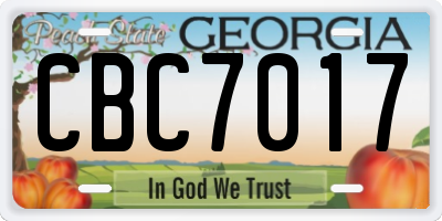 GA license plate CBC7017