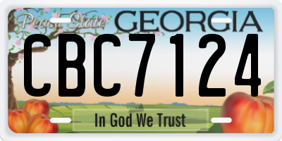 GA license plate CBC7124