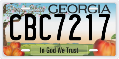 GA license plate CBC7217