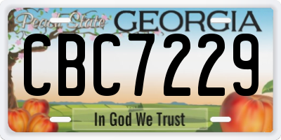 GA license plate CBC7229
