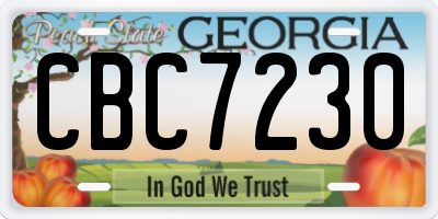 GA license plate CBC7230