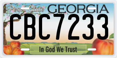GA license plate CBC7233