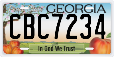 GA license plate CBC7234