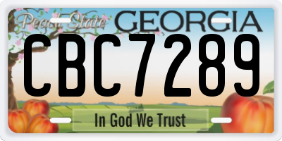 GA license plate CBC7289