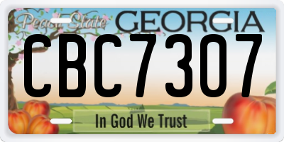 GA license plate CBC7307