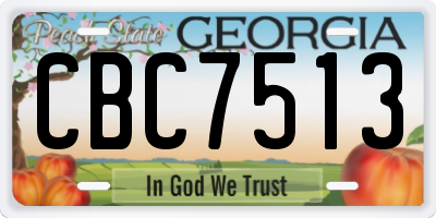 GA license plate CBC7513