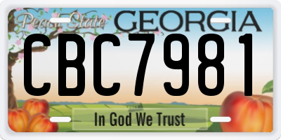 GA license plate CBC7981