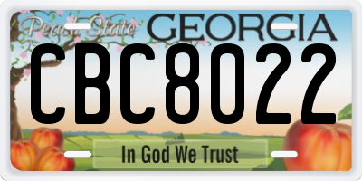 GA license plate CBC8022