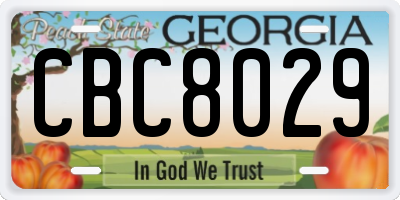 GA license plate CBC8029