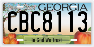 GA license plate CBC8113
