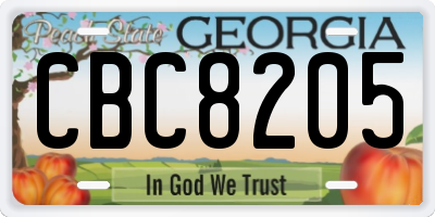 GA license plate CBC8205