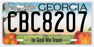 GA license plate CBC8207