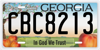 GA license plate CBC8213