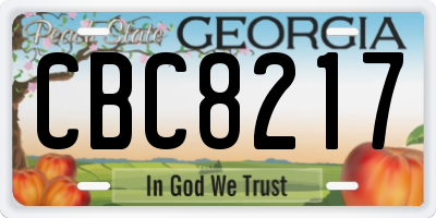 GA license plate CBC8217