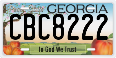GA license plate CBC8222