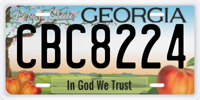 GA license plate CBC8224