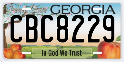 GA license plate CBC8229