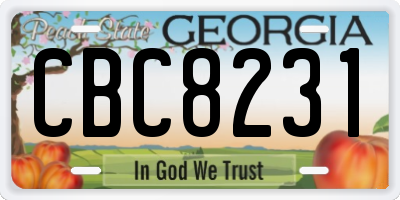 GA license plate CBC8231
