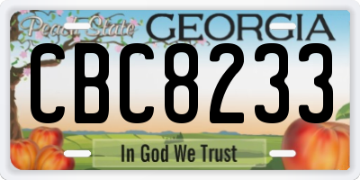 GA license plate CBC8233