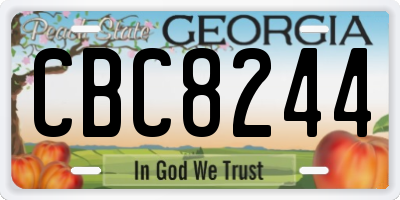 GA license plate CBC8244