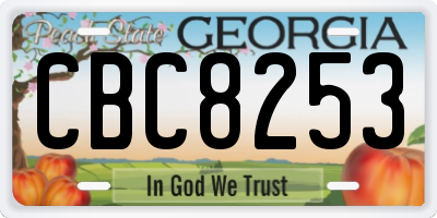 GA license plate CBC8253