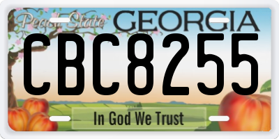 GA license plate CBC8255