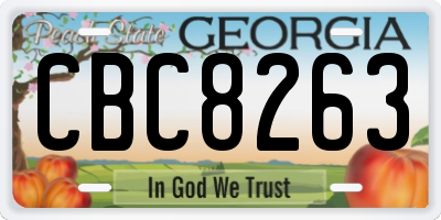 GA license plate CBC8263