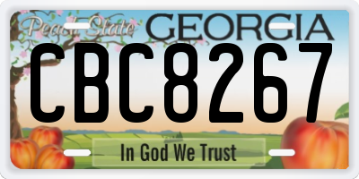 GA license plate CBC8267