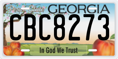 GA license plate CBC8273
