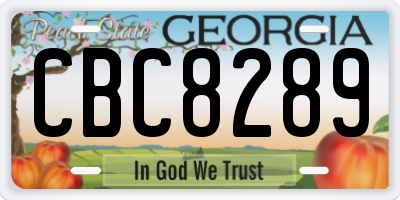 GA license plate CBC8289