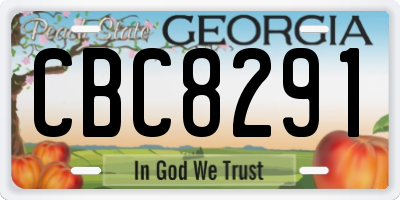GA license plate CBC8291